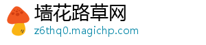 专业内容资讯门户_墙花路草网